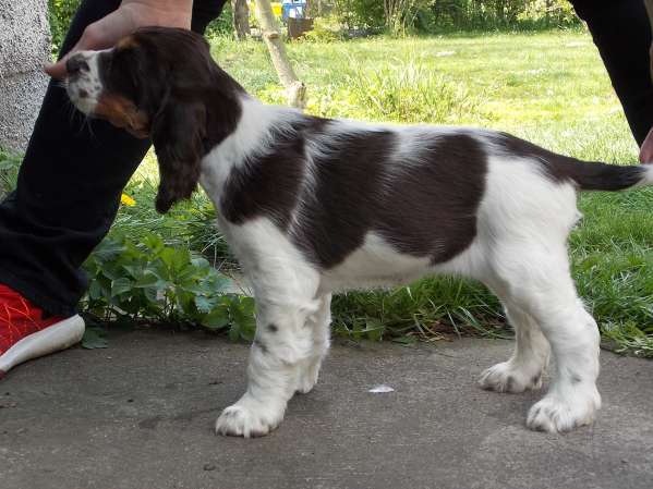 mia_8tydnu_postoj.jpg, 38kB