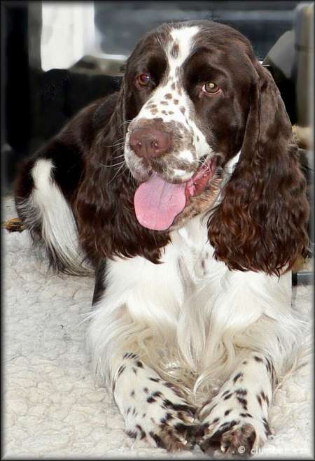 olomouc_2009_1 olomouc_2009_1.jpg, 38 kB