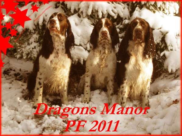 pf2011.jpg, 41 kB