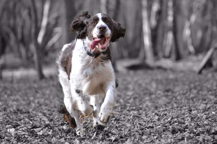 ruzenka1_9let.jpg, 38kB