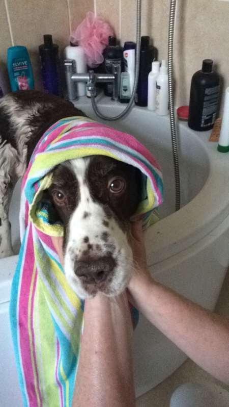 ruzenka2_9let.jpg, 36kB