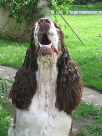 ruzenka_2roky_portret1.jpg, 21 kB