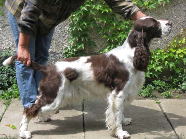 ruzenka_2roky_postoj.jpg, 47 kB