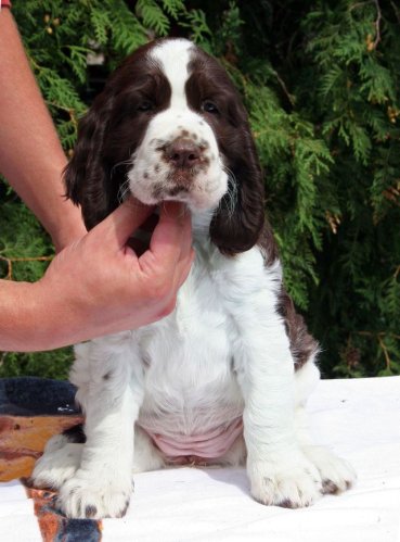 ruzenka_7tydnu_portret.jpg, 25 kB