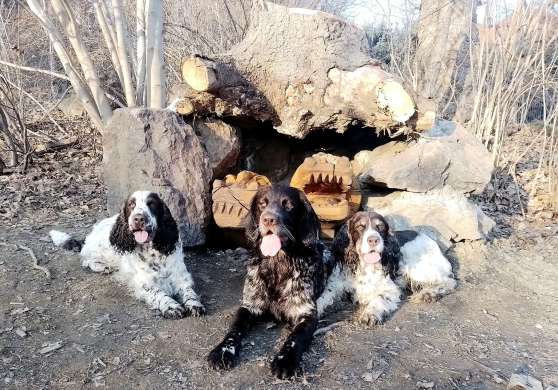 sec_jaro2026.jpg, 51kB