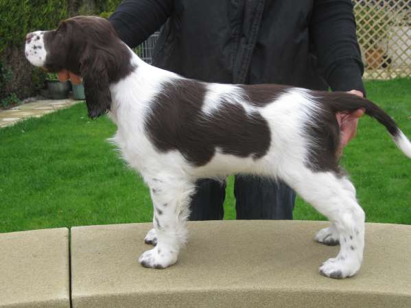 vicky_10tydnu.jpg, 26kB