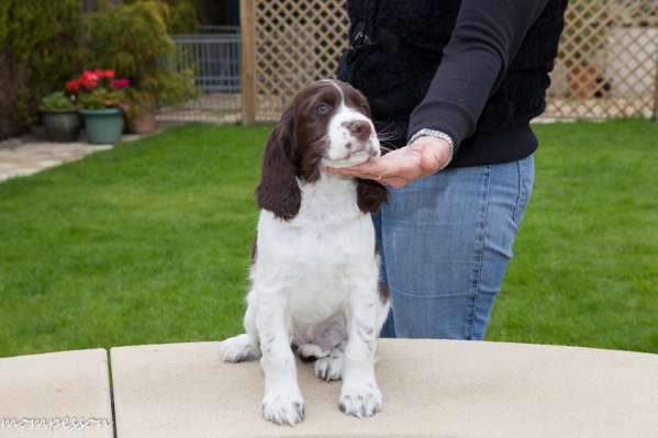 vicky_8tydnu_portret vicky_8tydnu_portret.jpg, 22kB