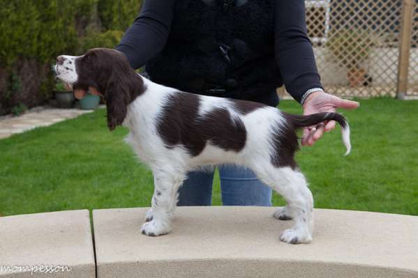 vicky_8tydnu_postoj vicky_8tydnu_postoj.jpg, 23kB