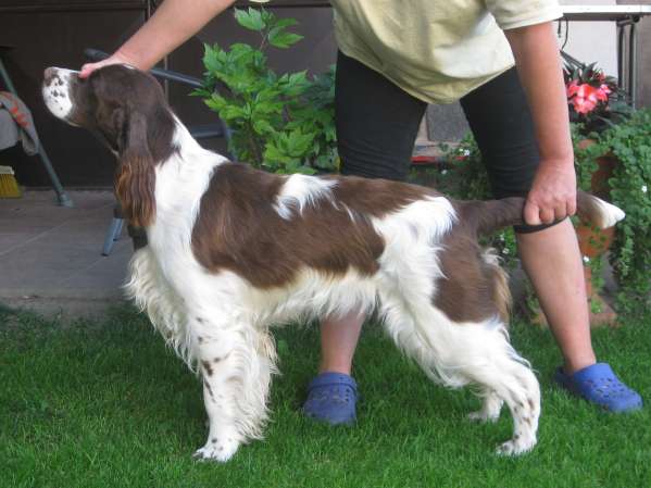 viktorka_13mesicu viktorka_13mesicu.jpg, 33kB