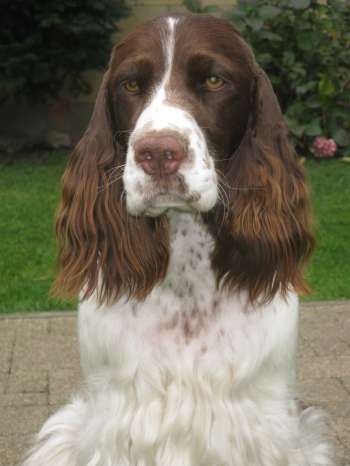 viktorka_15mesicu_portret2 viktorka_15mesicu_portret2.jpg, 15kB