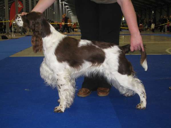 viktorka_15mesicu_postoj.jpg, 21kB