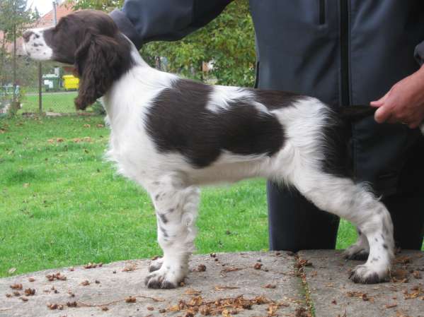 viktorka_3mesice_postoj viktorka_3mesice_postoj.jpg, 33kB