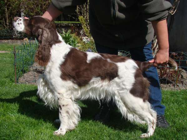 viktorka_3roky viktorka_3roky.jpg, 40kB