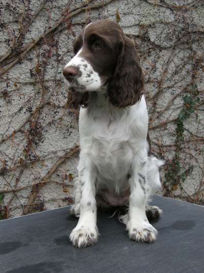 viktorka_4mesice_portret viktorka_4mesice_portret.jpg, 33kB