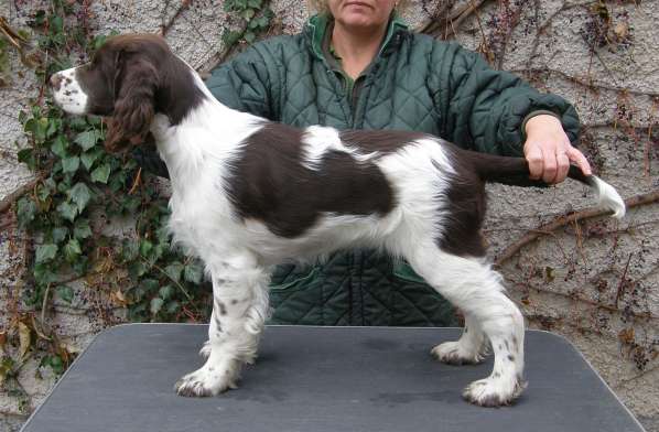 viktorka_4mesice_postoj viktorka_4mesice_postoj.jpg, 37kB