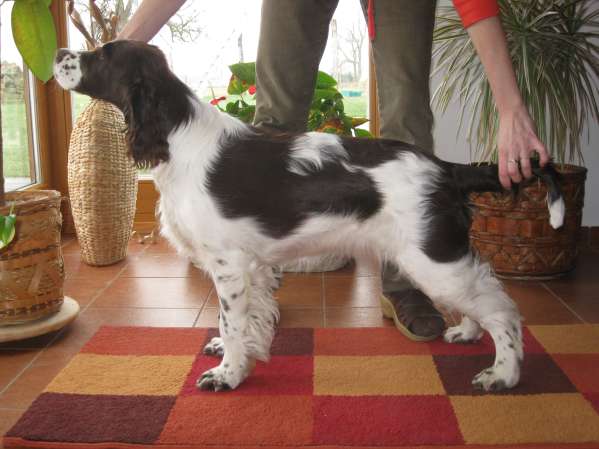 viktorka_5mesicu.jpg, 31kB