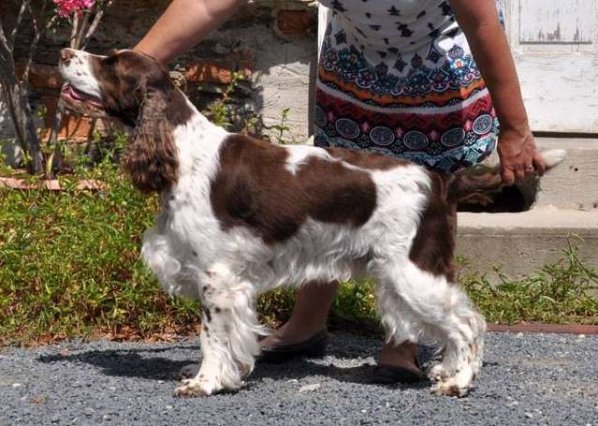 viktorka_6let viktorka_6let.jpg, 72kB