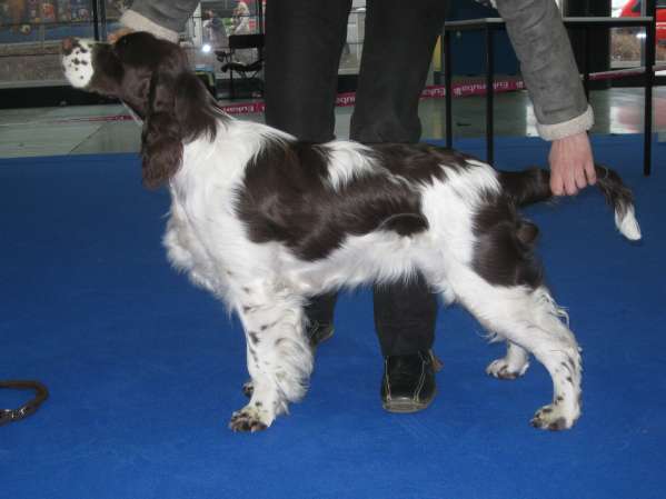 viktorka_6mesicu.jpg, 21kB