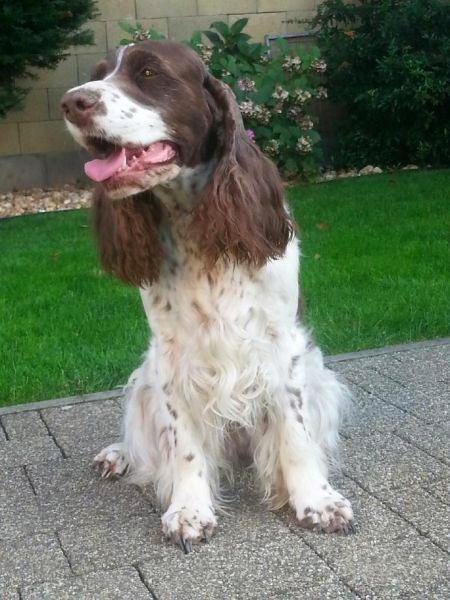 viktorka_7let_portret viktorka_7let_portret.jpg, 61kB