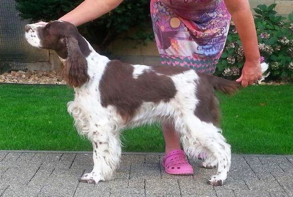 viktorka_7let_postoj viktorka_7let_postoj.jpg, 61kB