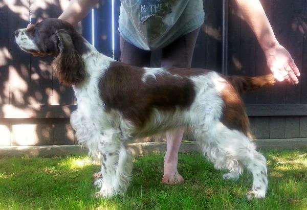 viktorka_8let viktorka_8let.jpg, 36kB