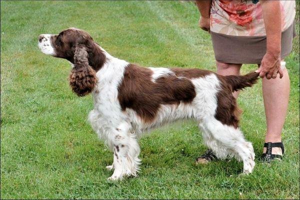 viktorka_8let_mb viktorka_8let_mb.jpg, 70kB