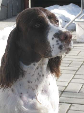 viktorka_8mesicu_portret1 viktorka_8mesicu_portret1.jpg, 14kB