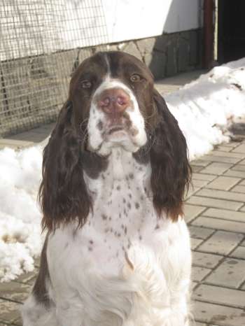 viktorka_8mesicu_portret2 viktorka_8mesicu_portret2.jpg, 18kB