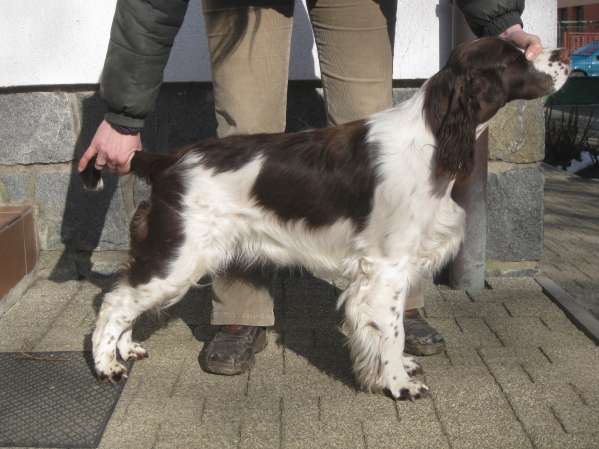 viktorka_8mesicu_postoj viktorka_8mesicu_postoj.jpg, 32kB