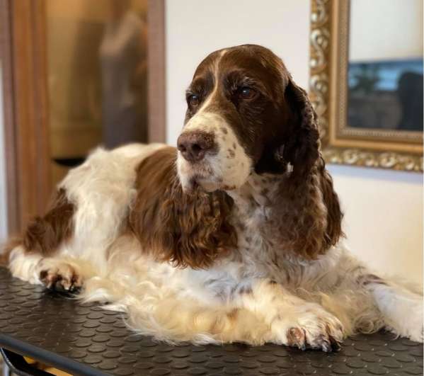 viktorka_9let_portret viktorka_9let_portret.jpg, 29kB