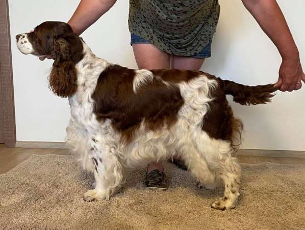 viktorka_9let_postoj.jpg, 35kB