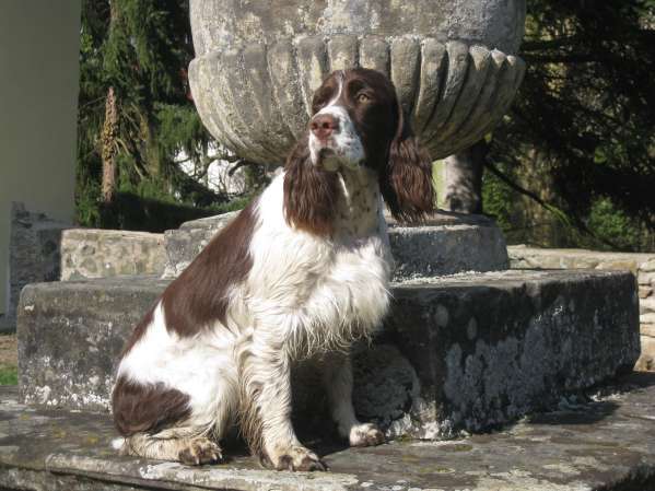 viktorka_choltice_duben13 viktorka_choltice_duben13.jpg, 39kB