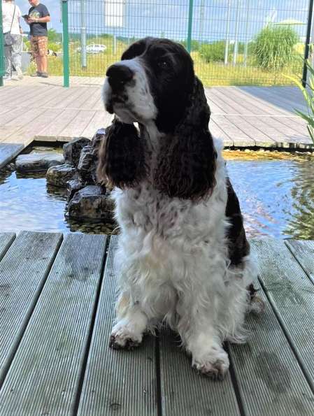 viktorka_kolin2021_1 viktorka_kolin2021_1.jpg, 46kB