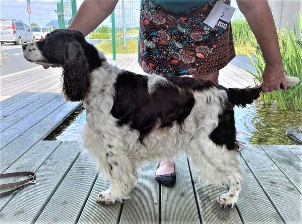 viktorka_kolin2021_2 viktorka_kolin2021_2.jpg, 49kB