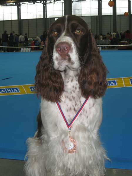 viktorka_nbbrno2014_portret viktorka_nbbrno2014_portret.jpg, 23kB