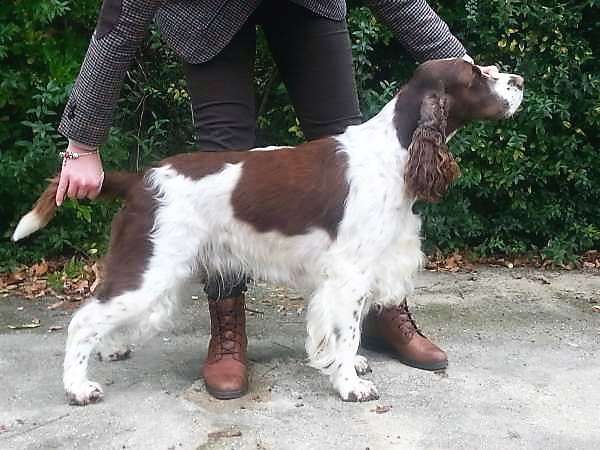 viktorka_nvpbrno2017 viktorka_nvpbrno2017.jpg, 40kB