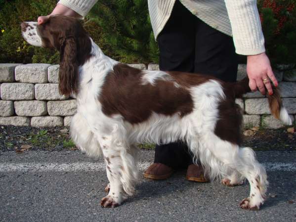 viktorka_praha2014 viktorka_praha2014.jpg, 38kB