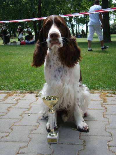 viktorka_svbac2014 viktorka_svbac2014.jpg, 30kB