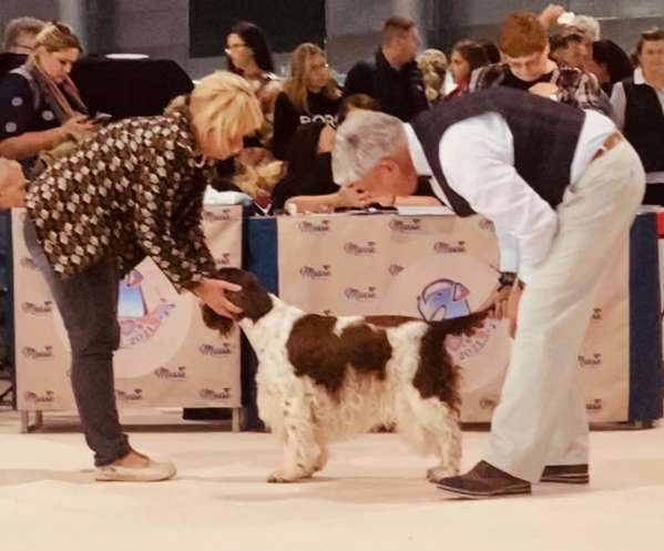 viktorka_wds1 viktorka_wds1.jpg, 32kB