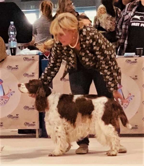 viktorka_wds2 viktorka_wds2.jpg, 45kB