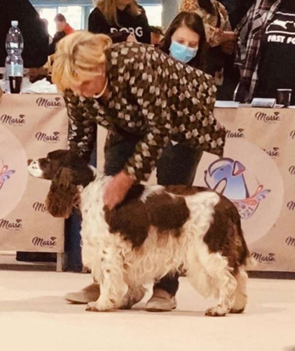 viktorka_wds3 viktorka_wds3.jpg, 43kB