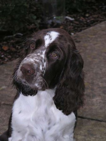 zelca_3mesice_portret.jpg, 25 kB