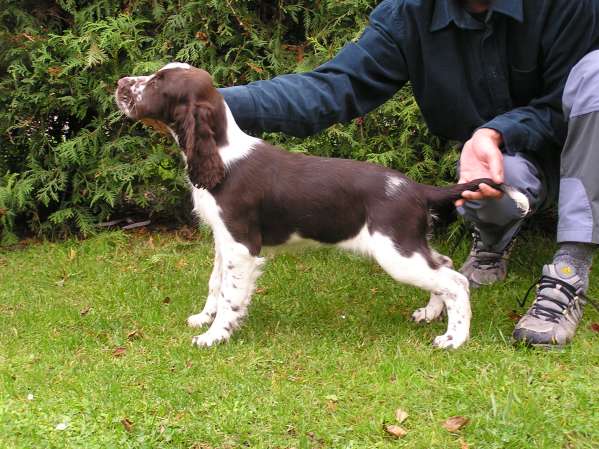 zelca_3mesice_postoj.jpg, 52 kB