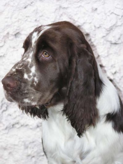 zelca_6mesicu_portret.jpg, 33 kB