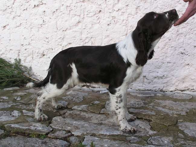 zelca_6mesicu_postoj.jpg, 47 kB