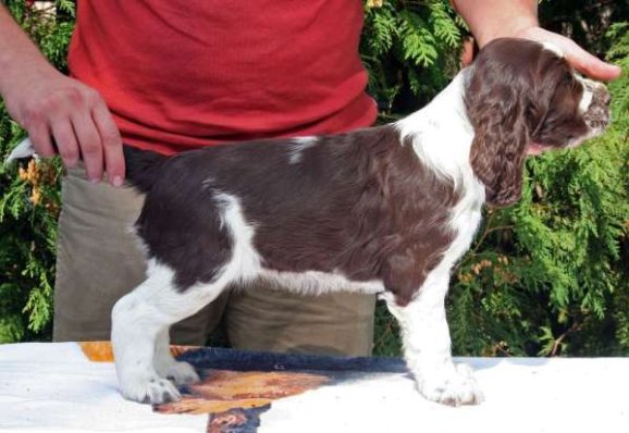 zelca_7tydnu.jpg, 49 kB