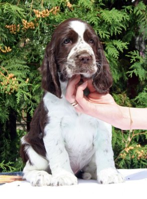 zelca_7tydnu_portret.jpg, 35 kB